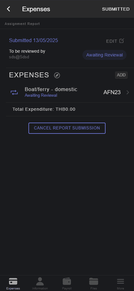 Mobile expenses view